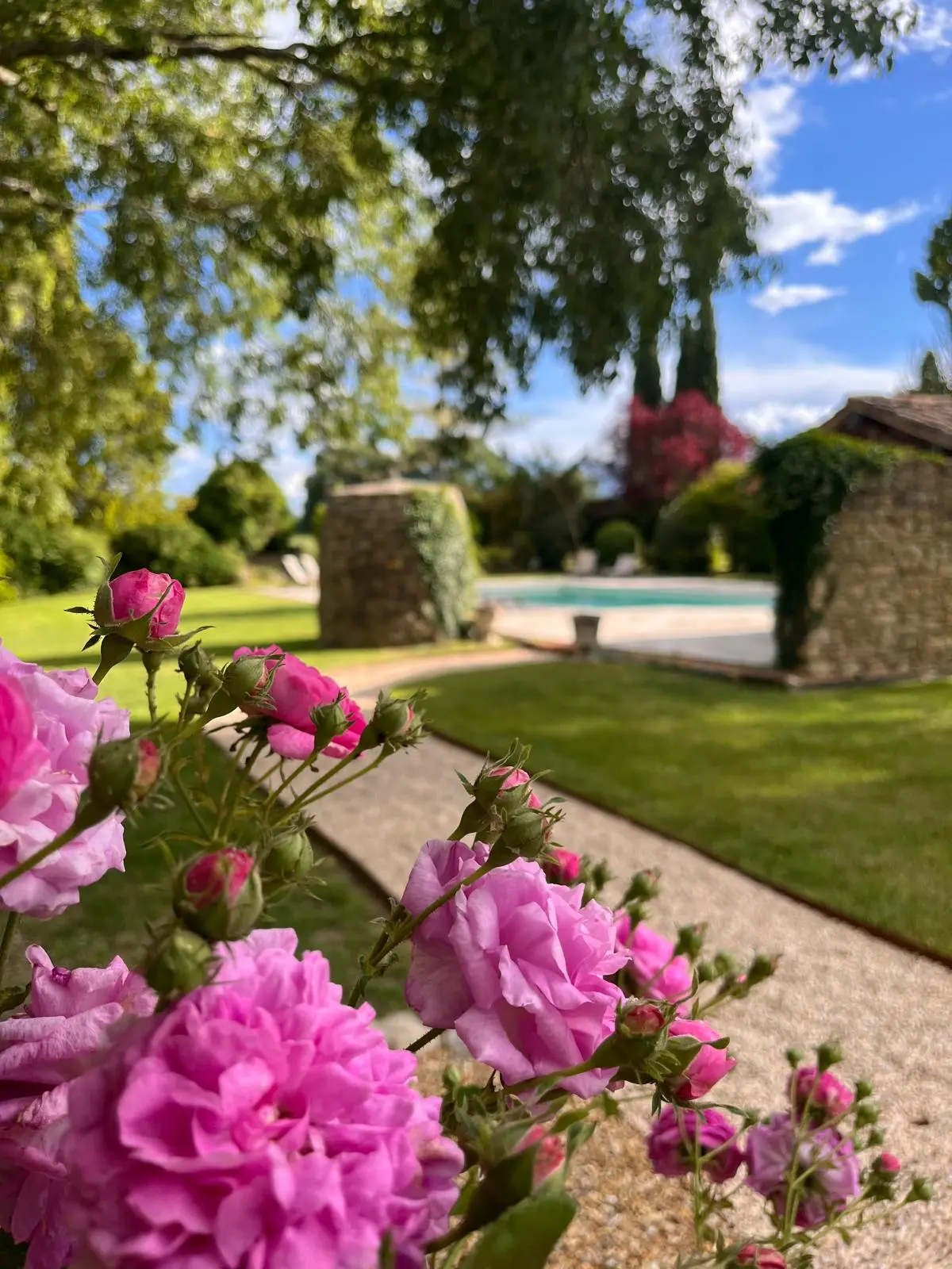 Jardin entretenu avec vue montagne